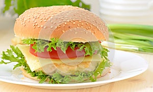 Burger fast food