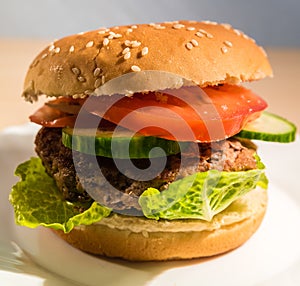 Burger fast food unhealthy image