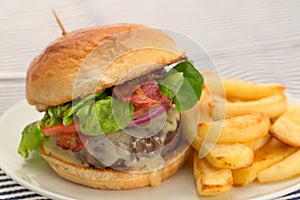 Burger and fries with a brioche bun