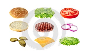 Burger or hamburger sandwich ingredients isolated on white. Transparent png additional format