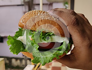 Burger in the hand