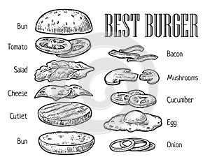 Burger ingredients. Vector vintage engraving illustration for poster, menu, web, banner, info graphic