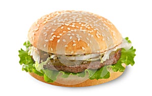 Burger (isolated)