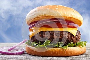 Burger with onion