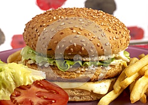 Hamburger série 