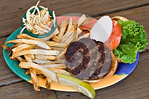 Burger, Slaw and Fries