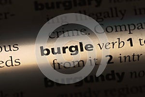 burgle photo