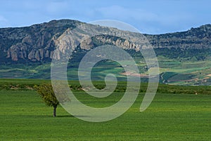 Burgos landscape