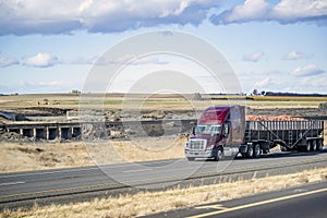 Burgundy big rig semi truck transporting agricultural products in open bulk semi trailer driving on the road along the fields