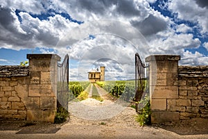 Burgundy, Chateau de La Tour and vineyards, Clos de Vougeot. France