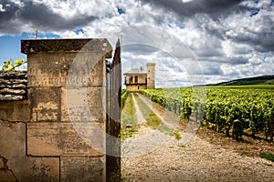 Burgundy, Chateau de La Tour and vineyards, Clos de Vougeot. France