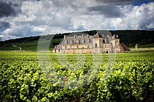 Burgundy, Chateau du Clos de Vougeot and vineyards. France