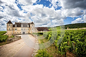 Burgundy, Chateau du Clos de Vougeot and vineyards. France