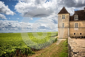 Burgundy, Chateau du Clos de Vougeot and vineyards. France