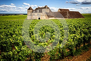 Burgundy, Chateau du Clos de Vougeot and vineyards. France