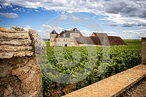 Burgundy, Chateau du Clos de Vougeot and vineyards. France