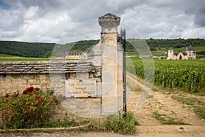 Burgundy, Clos de Vougeot. France. Present on an area of about 50 hectares, Clos de Vougeot is a Grand Cru appellation.