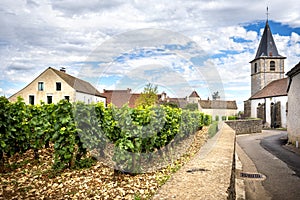 Burgundy, Cote d`Or: Vosne-RomanÃÂ©e is a beautiful village famous for its vineyards and delicious wines. France.