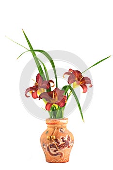 burgundy daylily flowers in a clay vase