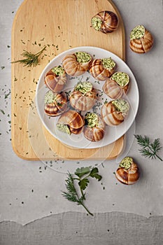 Burgundy escargots with green oil and parsley