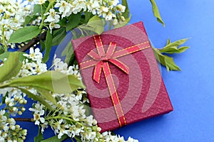 A burgundy gift box lies on a blue background surrounded by bird cherry flowers.