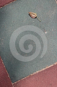 Burgundy and gray artificial turf tiles with withered leaf on it. vertical view