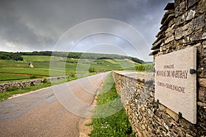BURGUNDY - CORTON: scenic road that crosses the wine region near Corton. France