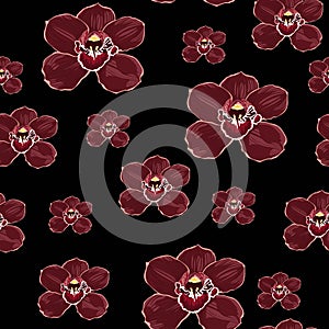 Burgundy orchid Phalaenopsis floral seamless pattern. Exotic spring summer flowers in bloom.