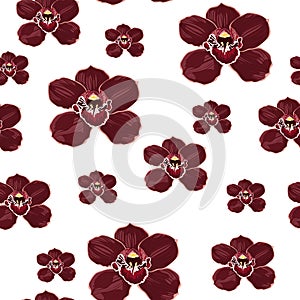 Burgundy orchid Phalaenopsis floral seamless pattern. Exotic spring summer flowers in bloom.