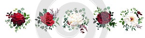 Burgundy red rose flowers, white ivory peony, carnation vector design