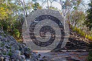 Archaeological Site: El Mirador, the cradle of Mayan civilization and the oldest mayan city in history photo