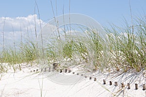 Buried sand dune fence