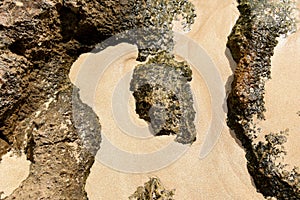 Buried in the sand these lovely Rock formations