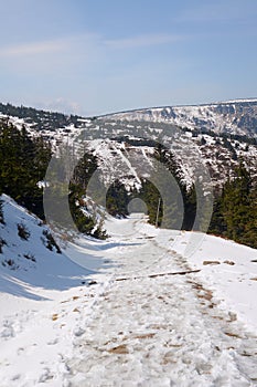 Buried in snow hiking trail