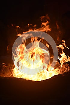 Buring wood and fire photo