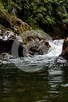 Buritaca river on the way to the lost city indigenous name Teyuna photo