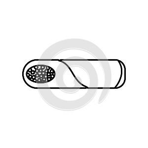 Burito icon. Element of Mexico for mobile concept and web apps icon. Outline, thin line icon for website design and development, photo