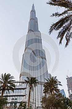 Burj Khalifa that Viewed from Below with Palms at Dubai