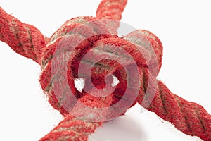 Burl in a red rope photo