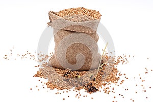 Burlap sack with buckwheat spilling