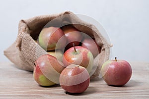 Burlap sack with rustic apples
