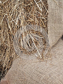 Burlap with Straw