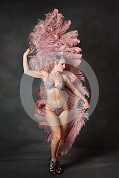 Burlesque dancer with feather fans