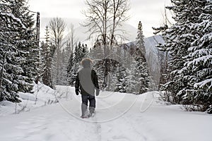 Burly Outdoorsman Snoeshoeing in the Forest