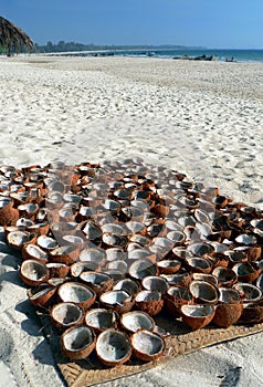 Burma. Coconut Shells Drying