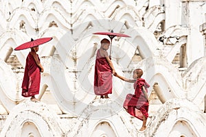 Burmese buddhist novice monk