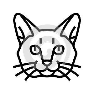 burmese cat cute pet line icon vector illustration