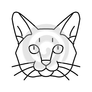 burmese cat cute pet line icon vector illustration