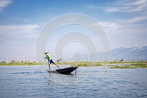 Burmese fisherman catching fish with a net on Inle lake, Myanmar Burma