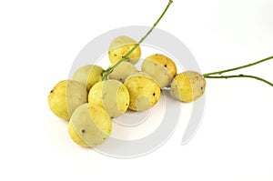 Burmese grapes isolated